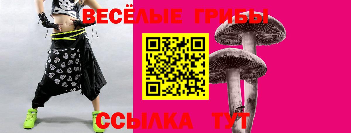Острогожск  Галлюциногенные грибы прущие грибы  Вход с VPN 